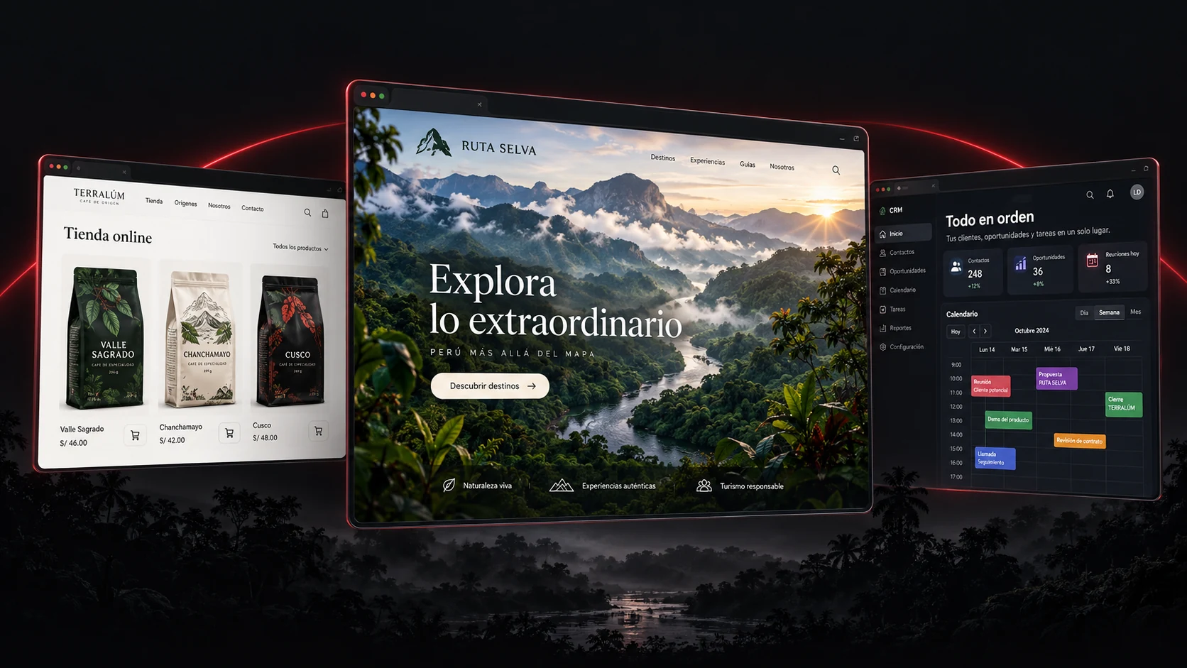 Conceptos de una página de turismo, una tienda online y un sistema de gestión para negocios